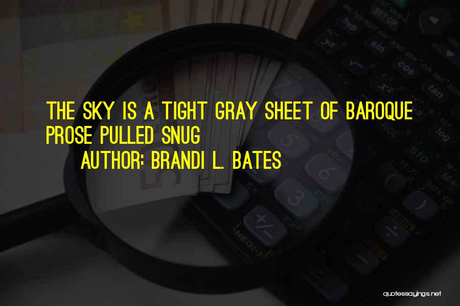 Brandi L. Bates Quotes: The Sky Is A Tight Gray Sheet Of Baroque Prose Pulled Snug