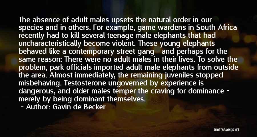 Gavin De Becker Quotes: The Absence Of Adult Males Upsets The Natural Order In Our Species And In Others. For Example, Game Wardens In