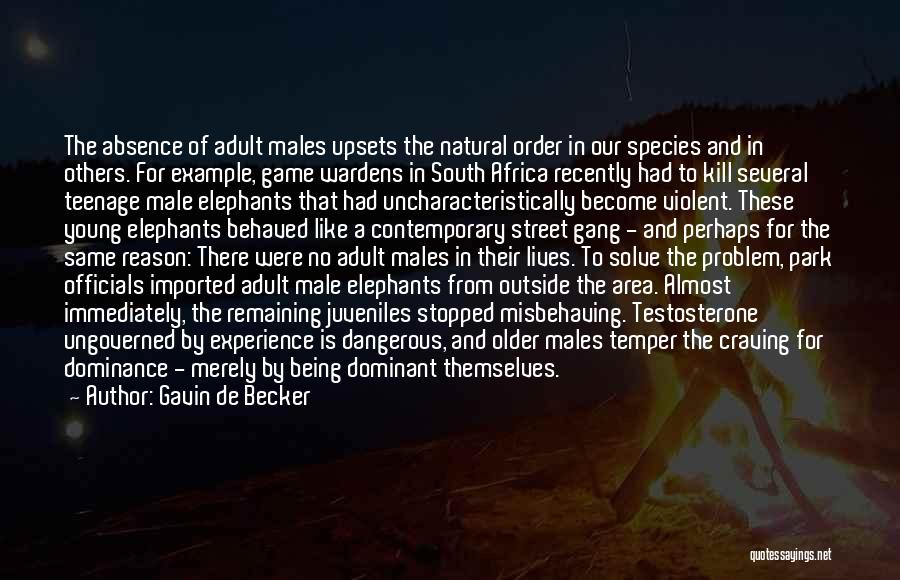 Gavin De Becker Quotes: The Absence Of Adult Males Upsets The Natural Order In Our Species And In Others. For Example, Game Wardens In