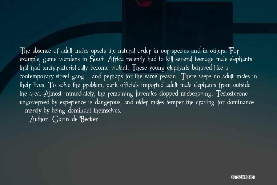 Gavin De Becker Quotes: The Absence Of Adult Males Upsets The Natural Order In Our Species And In Others. For Example, Game Wardens In