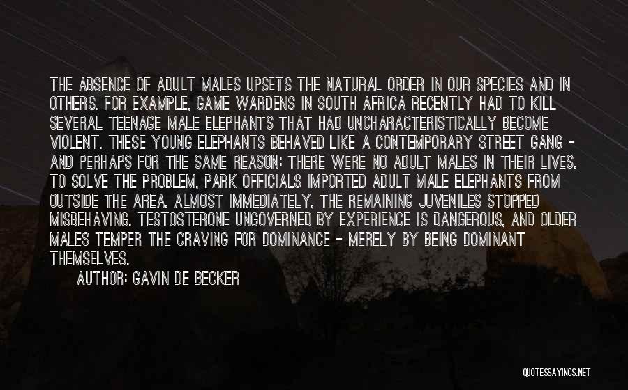 Gavin De Becker Quotes: The Absence Of Adult Males Upsets The Natural Order In Our Species And In Others. For Example, Game Wardens In