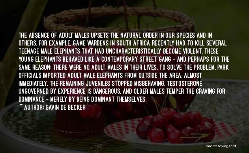 Gavin De Becker Quotes: The Absence Of Adult Males Upsets The Natural Order In Our Species And In Others. For Example, Game Wardens In
