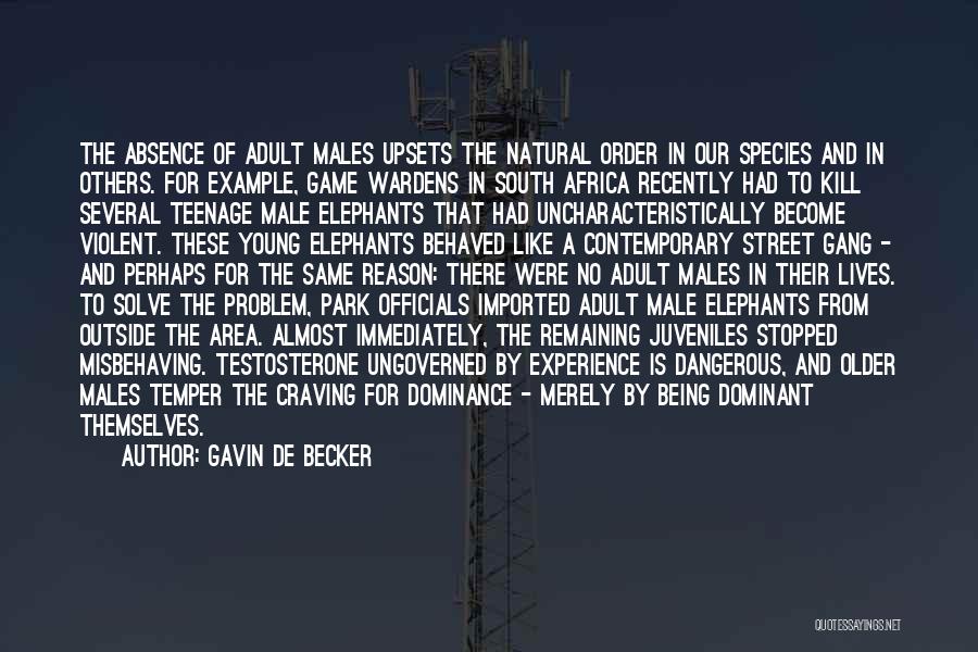 Gavin De Becker Quotes: The Absence Of Adult Males Upsets The Natural Order In Our Species And In Others. For Example, Game Wardens In