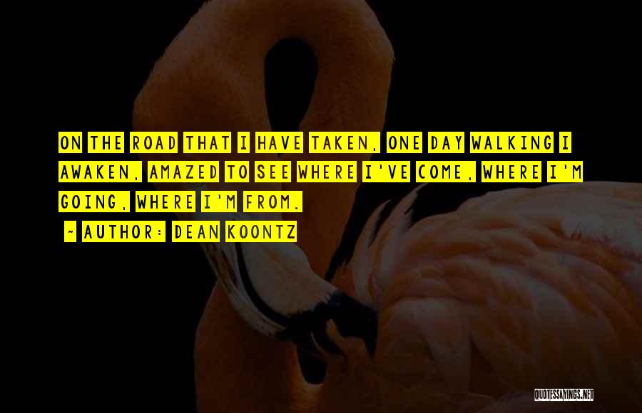 Dean Koontz Quotes: On The Road That I Have Taken, One Day Walking I Awaken, Amazed To See Where I've Come, Where I'm