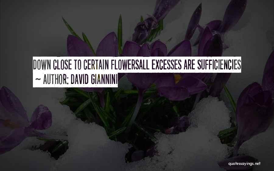 David Giannini Quotes: Down Close To Certain Flowersall Excesses Are Sufficiencies