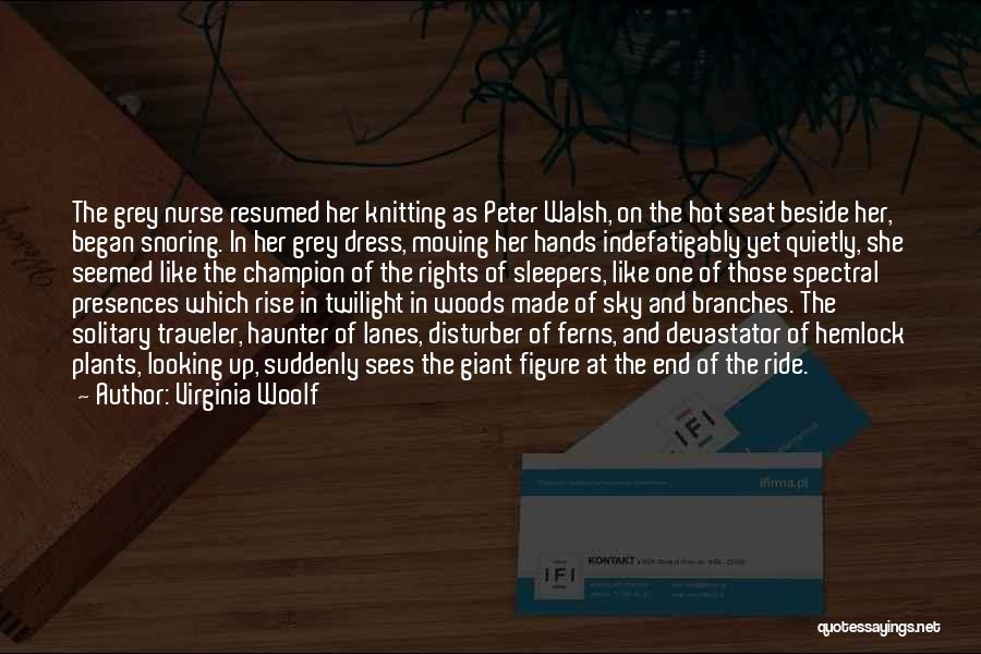 Virginia Woolf Quotes: The Grey Nurse Resumed Her Knitting As Peter Walsh, On The Hot Seat Beside Her, Began Snoring. In Her Grey