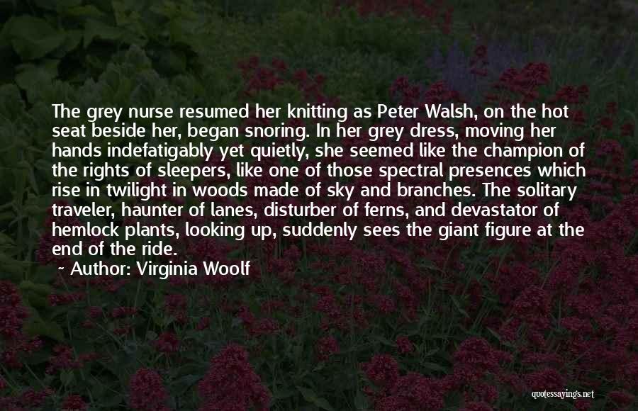 Virginia Woolf Quotes: The Grey Nurse Resumed Her Knitting As Peter Walsh, On The Hot Seat Beside Her, Began Snoring. In Her Grey