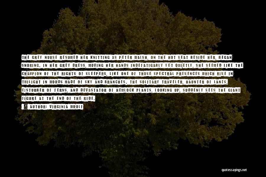Virginia Woolf Quotes: The Grey Nurse Resumed Her Knitting As Peter Walsh, On The Hot Seat Beside Her, Began Snoring. In Her Grey