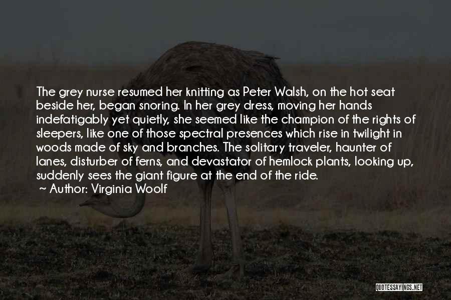 Virginia Woolf Quotes: The Grey Nurse Resumed Her Knitting As Peter Walsh, On The Hot Seat Beside Her, Began Snoring. In Her Grey