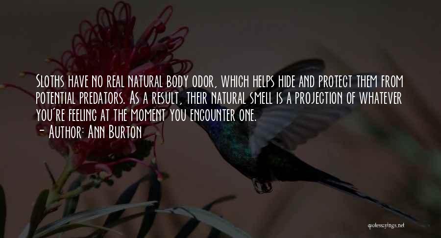 Ann Burton Quotes: Sloths Have No Real Natural Body Odor, Which Helps Hide And Protect Them From Potential Predators. As A Result, Their