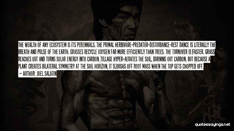 Joel Salatin Quotes: The Wealth Of Any Ecosystem Is Its Perennials. The Primal Herbivore-predator-disturbance-rest Dance Is Literally The Breath And Pulse Of The