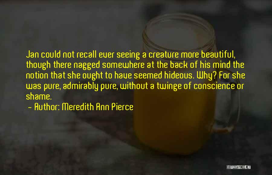 Meredith Ann Pierce Quotes: Jan Could Not Recall Ever Seeing A Creature More Beautiful, Though There Nagged Somewhere At The Back Of His Mind