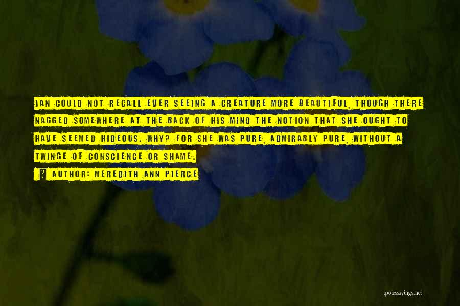 Meredith Ann Pierce Quotes: Jan Could Not Recall Ever Seeing A Creature More Beautiful, Though There Nagged Somewhere At The Back Of His Mind