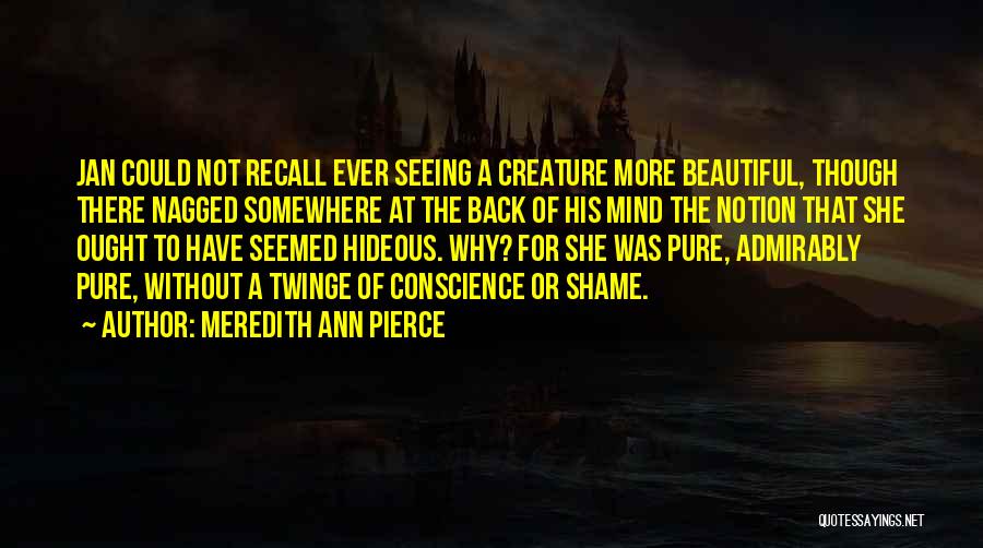 Meredith Ann Pierce Quotes: Jan Could Not Recall Ever Seeing A Creature More Beautiful, Though There Nagged Somewhere At The Back Of His Mind