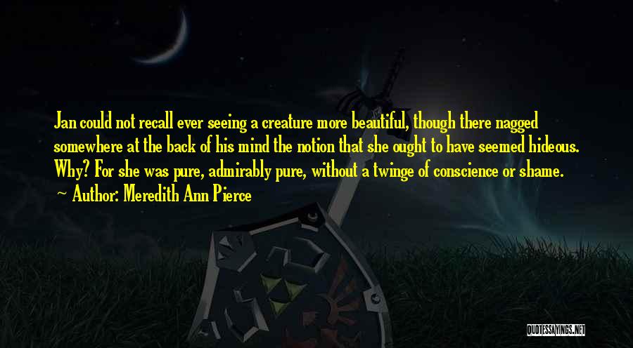 Meredith Ann Pierce Quotes: Jan Could Not Recall Ever Seeing A Creature More Beautiful, Though There Nagged Somewhere At The Back Of His Mind