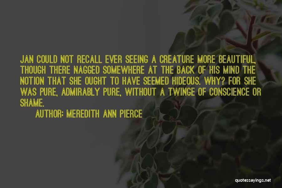 Meredith Ann Pierce Quotes: Jan Could Not Recall Ever Seeing A Creature More Beautiful, Though There Nagged Somewhere At The Back Of His Mind