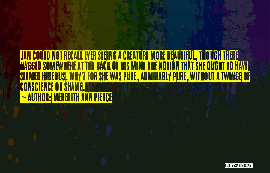 Meredith Ann Pierce Quotes: Jan Could Not Recall Ever Seeing A Creature More Beautiful, Though There Nagged Somewhere At The Back Of His Mind