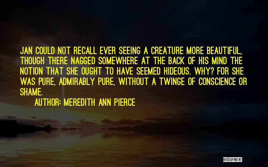 Meredith Ann Pierce Quotes: Jan Could Not Recall Ever Seeing A Creature More Beautiful, Though There Nagged Somewhere At The Back Of His Mind