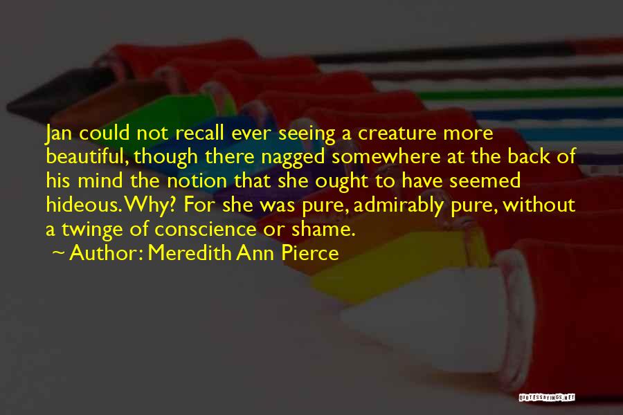 Meredith Ann Pierce Quotes: Jan Could Not Recall Ever Seeing A Creature More Beautiful, Though There Nagged Somewhere At The Back Of His Mind