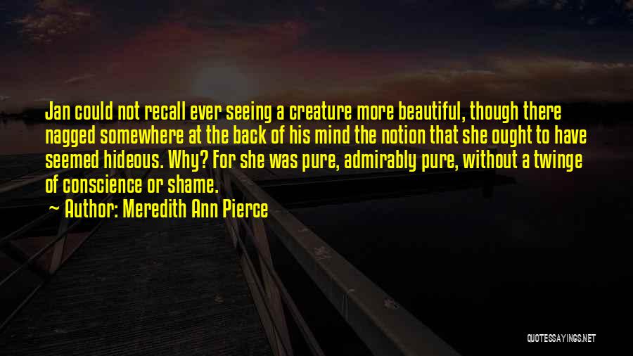 Meredith Ann Pierce Quotes: Jan Could Not Recall Ever Seeing A Creature More Beautiful, Though There Nagged Somewhere At The Back Of His Mind