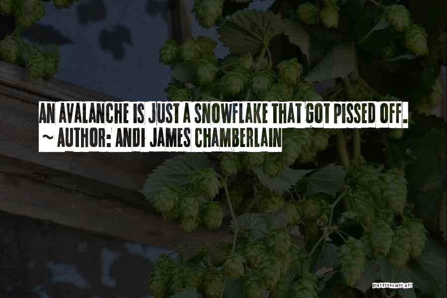 Andi James Chamberlain Quotes: An Avalanche Is Just A Snowflake That Got Pissed Off.