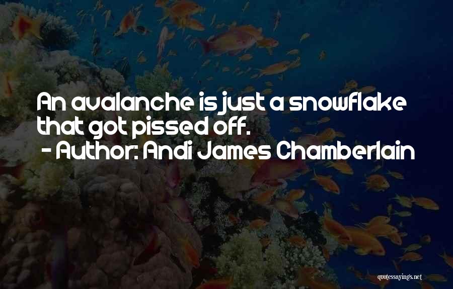 Andi James Chamberlain Quotes: An Avalanche Is Just A Snowflake That Got Pissed Off.