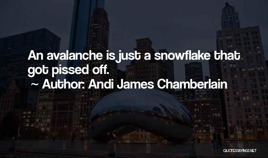 Andi James Chamberlain Quotes: An Avalanche Is Just A Snowflake That Got Pissed Off.