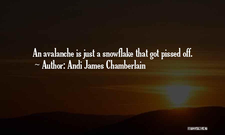 Andi James Chamberlain Quotes: An Avalanche Is Just A Snowflake That Got Pissed Off.