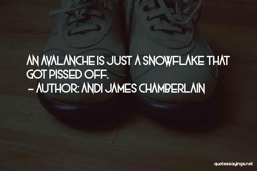 Andi James Chamberlain Quotes: An Avalanche Is Just A Snowflake That Got Pissed Off.