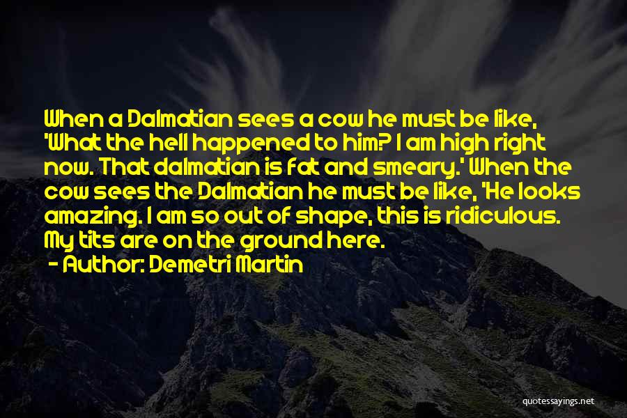 Demetri Martin Quotes: When A Dalmatian Sees A Cow He Must Be Like, 'what The Hell Happened To Him? I Am High Right