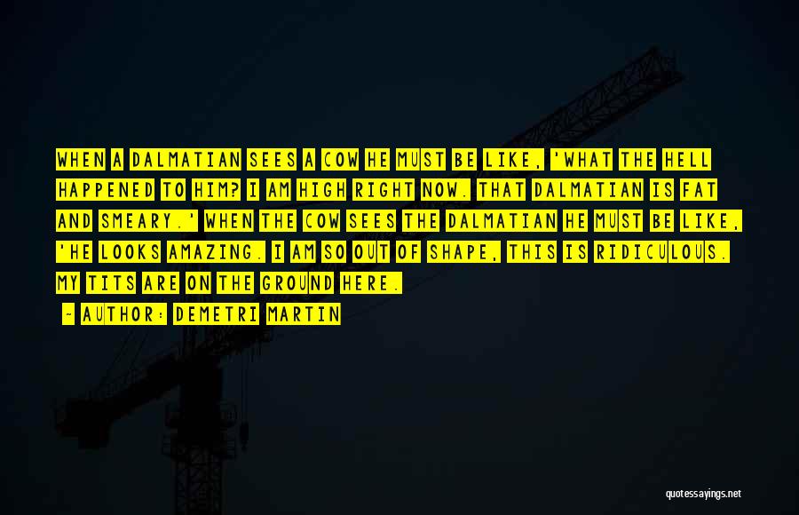 Demetri Martin Quotes: When A Dalmatian Sees A Cow He Must Be Like, 'what The Hell Happened To Him? I Am High Right