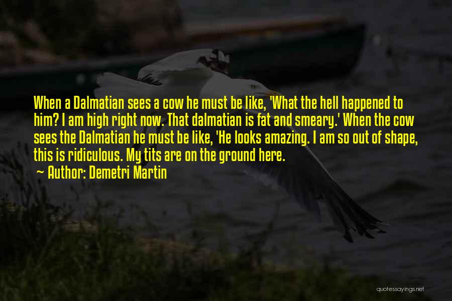 Demetri Martin Quotes: When A Dalmatian Sees A Cow He Must Be Like, 'what The Hell Happened To Him? I Am High Right