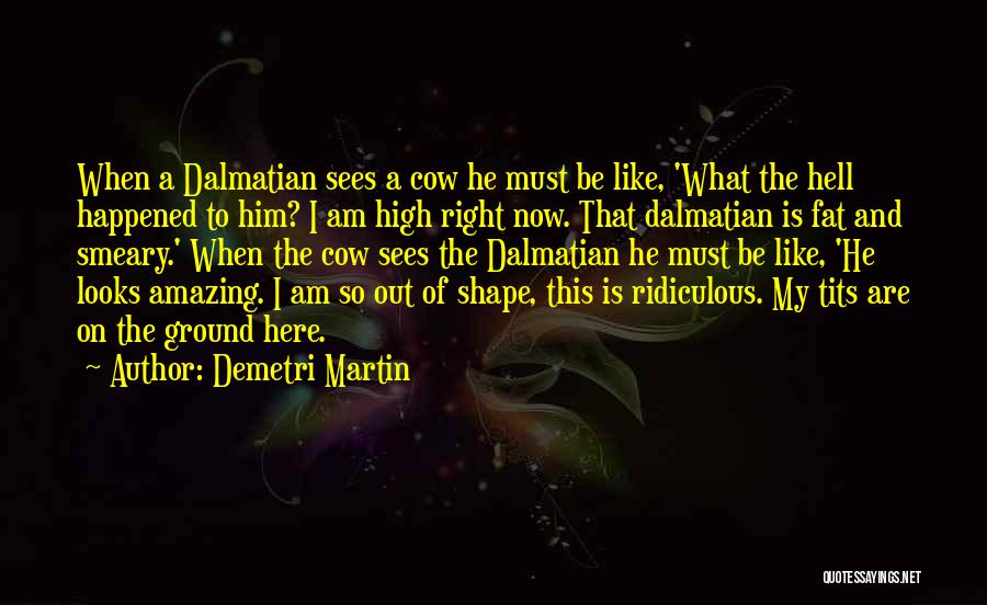 Demetri Martin Quotes: When A Dalmatian Sees A Cow He Must Be Like, 'what The Hell Happened To Him? I Am High Right