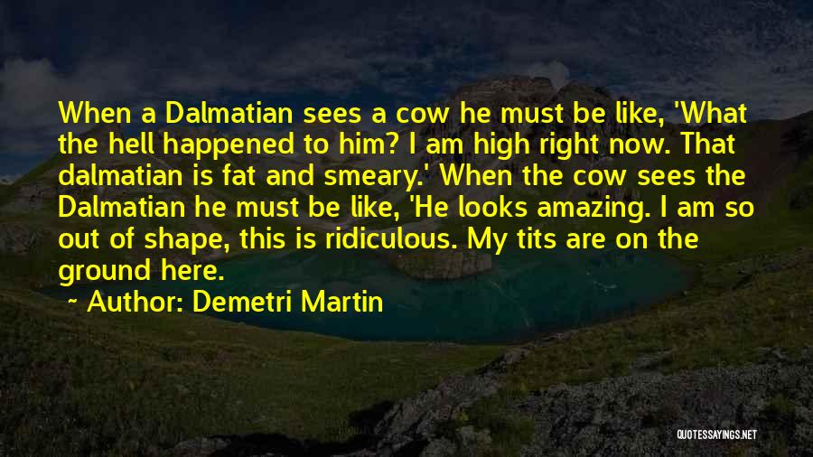 Demetri Martin Quotes: When A Dalmatian Sees A Cow He Must Be Like, 'what The Hell Happened To Him? I Am High Right