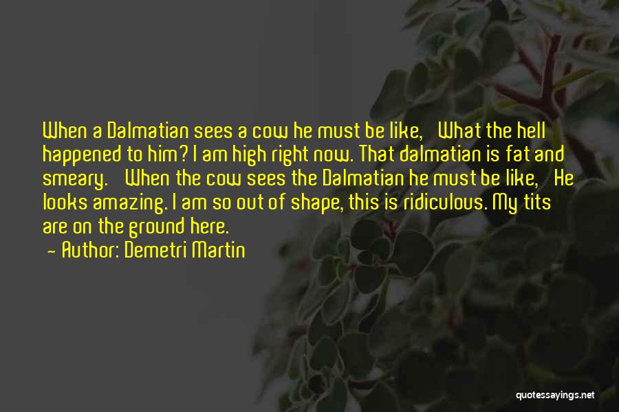 Demetri Martin Quotes: When A Dalmatian Sees A Cow He Must Be Like, 'what The Hell Happened To Him? I Am High Right