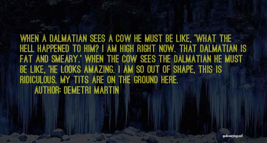 Demetri Martin Quotes: When A Dalmatian Sees A Cow He Must Be Like, 'what The Hell Happened To Him? I Am High Right