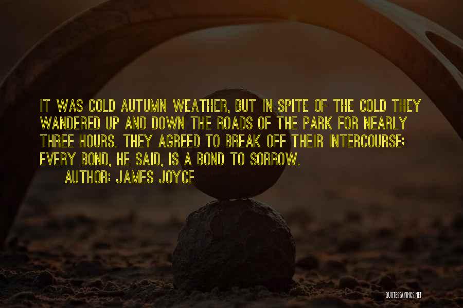 James Joyce Quotes: It Was Cold Autumn Weather, But In Spite Of The Cold They Wandered Up And Down The Roads Of The