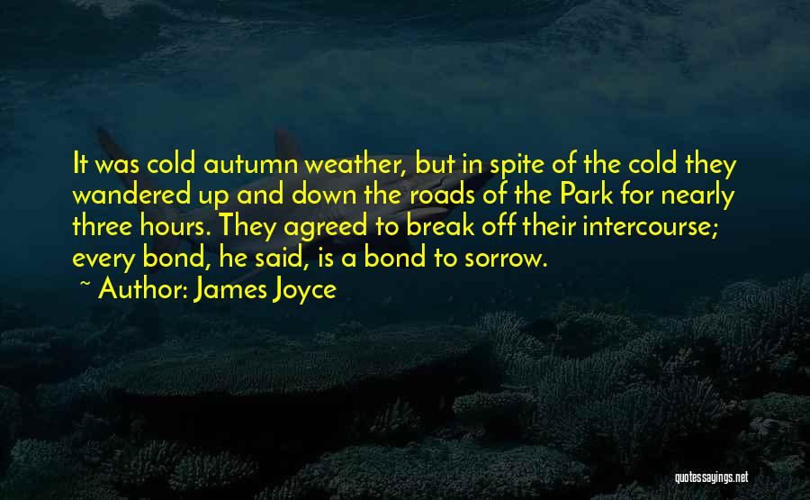 James Joyce Quotes: It Was Cold Autumn Weather, But In Spite Of The Cold They Wandered Up And Down The Roads Of The