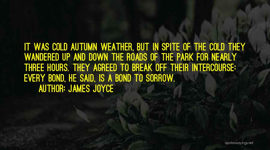 James Joyce Quotes: It Was Cold Autumn Weather, But In Spite Of The Cold They Wandered Up And Down The Roads Of The