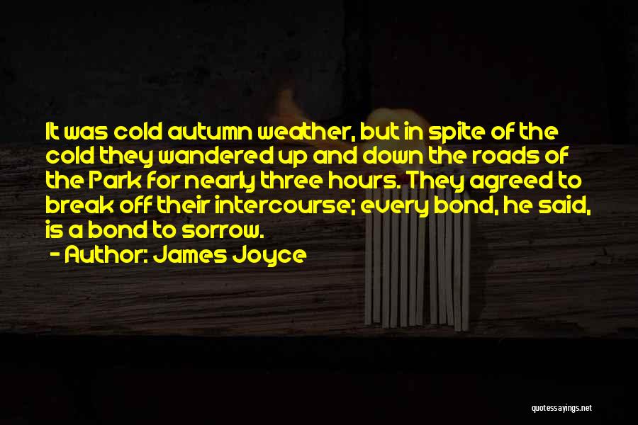 James Joyce Quotes: It Was Cold Autumn Weather, But In Spite Of The Cold They Wandered Up And Down The Roads Of The