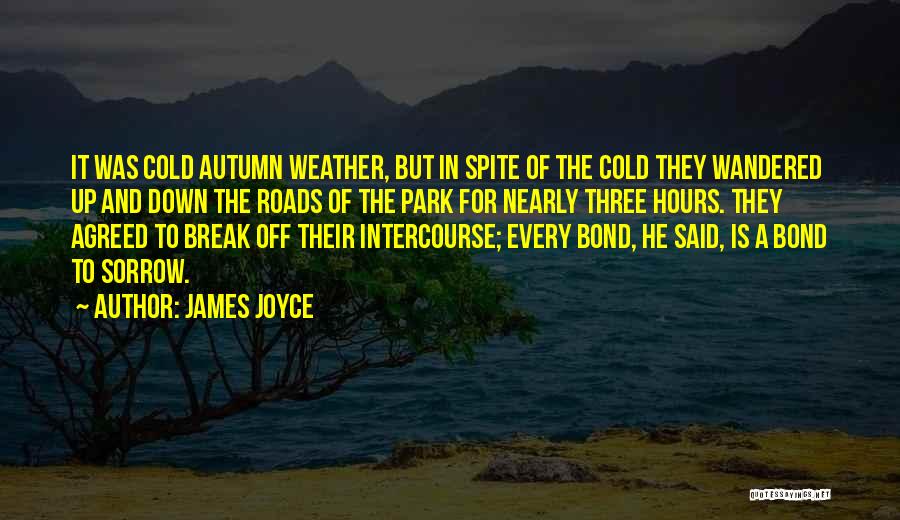 James Joyce Quotes: It Was Cold Autumn Weather, But In Spite Of The Cold They Wandered Up And Down The Roads Of The