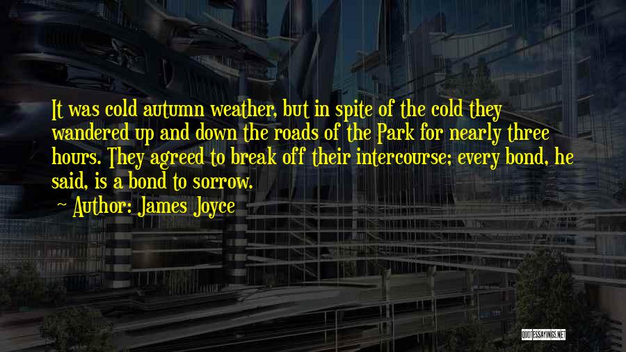 James Joyce Quotes: It Was Cold Autumn Weather, But In Spite Of The Cold They Wandered Up And Down The Roads Of The