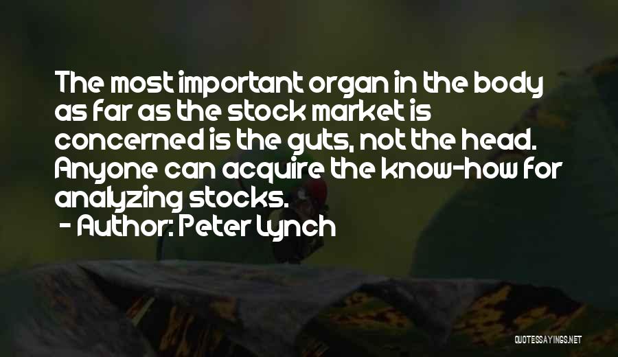 Peter Lynch Quotes: The Most Important Organ In The Body As Far As The Stock Market Is Concerned Is The Guts, Not The