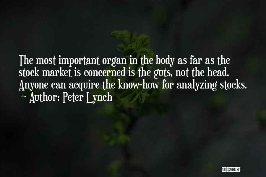 Peter Lynch Quotes: The Most Important Organ In The Body As Far As The Stock Market Is Concerned Is The Guts, Not The