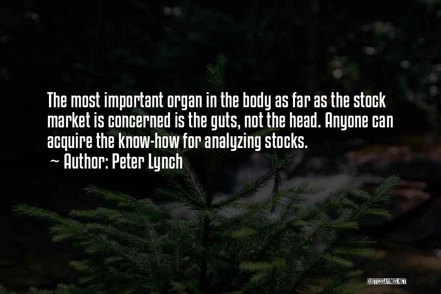 Peter Lynch Quotes: The Most Important Organ In The Body As Far As The Stock Market Is Concerned Is The Guts, Not The