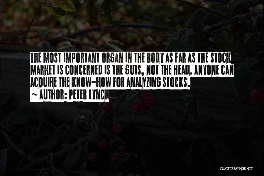 Peter Lynch Quotes: The Most Important Organ In The Body As Far As The Stock Market Is Concerned Is The Guts, Not The