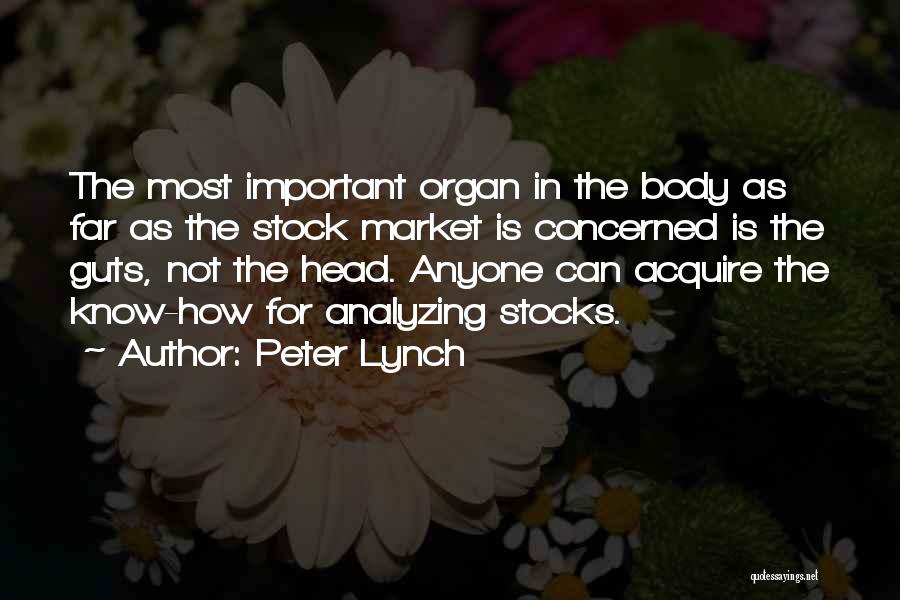 Peter Lynch Quotes: The Most Important Organ In The Body As Far As The Stock Market Is Concerned Is The Guts, Not The