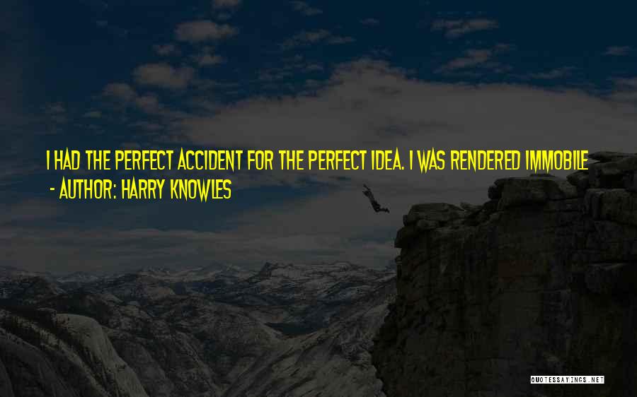 Harry Knowles Quotes: I Had The Perfect Accident For The Perfect Idea. I Was Rendered Immobile Where The Only Thing I Could Do