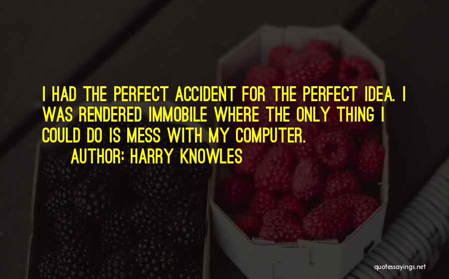 Harry Knowles Quotes: I Had The Perfect Accident For The Perfect Idea. I Was Rendered Immobile Where The Only Thing I Could Do