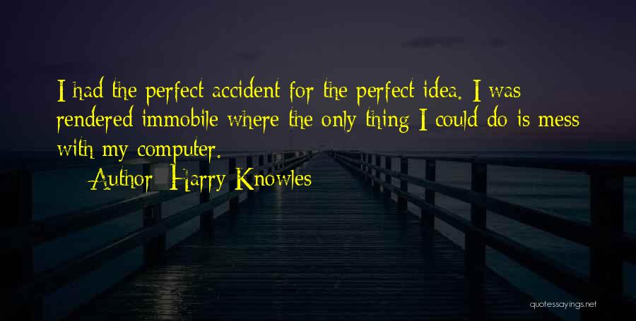 Harry Knowles Quotes: I Had The Perfect Accident For The Perfect Idea. I Was Rendered Immobile Where The Only Thing I Could Do